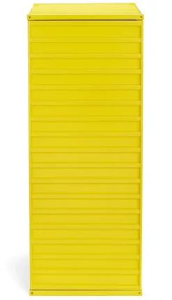 Container DS Plus