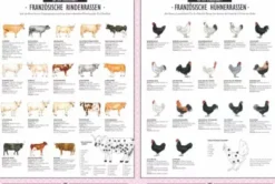 Die Gourmet-Bibel Frankreich