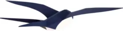 3D Papiermodell Vögel