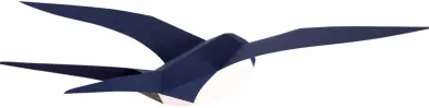 3D Papiermodell Vögel
