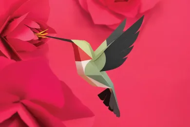 3D Papiermodell Vögel