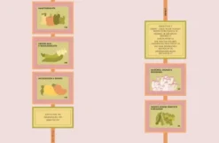JapanEasy Vegan