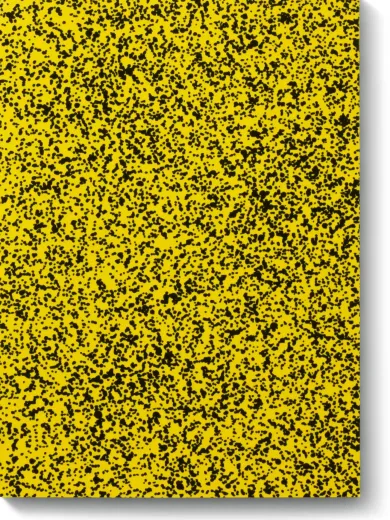 Notizbuch Splash