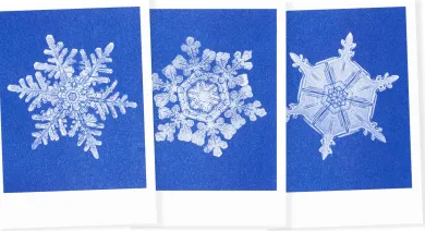 Postkarten-Set Riso Winter