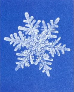 Postkarten-Set Riso Winter