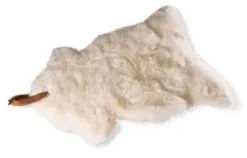 Schaffell Skiep