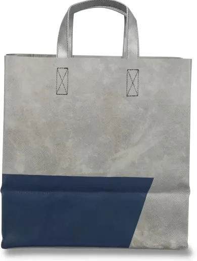 Tasche F250 Sonny