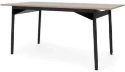 Tischplatte zu Tischgestell Zehdenicker
