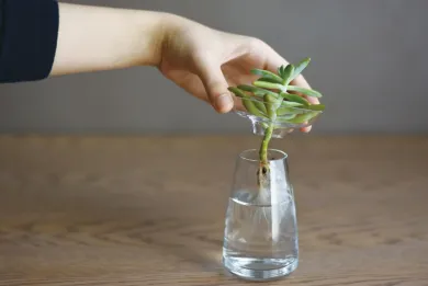 Vase Aqua, klein