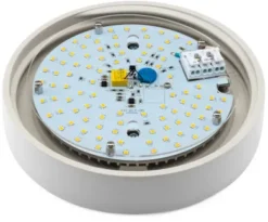 Wand- und Deckenleuchte Zylinder LED